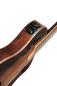 Preview: Ortega RTPDLX-ACA Akazien Burst